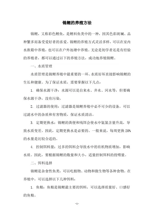 锦鲤的养殖方法