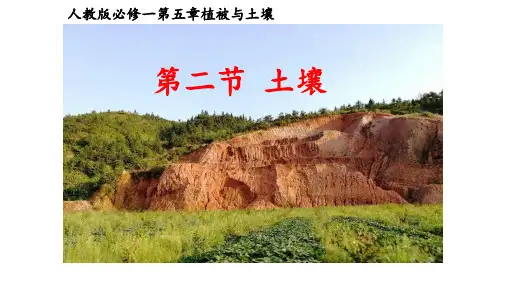 高一新人教版(2019)地理必修第一册课件：5.2土壤