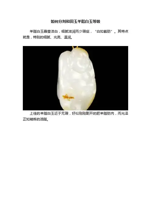 如何分判和田玉羊脂白玉等级