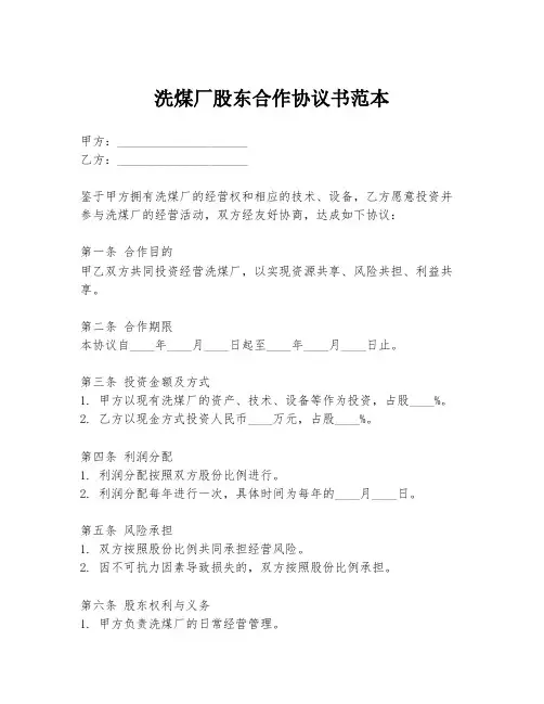 洗煤厂股东合作协议书范本