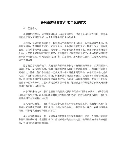 暴风雨来临的前夕_初二优秀作文