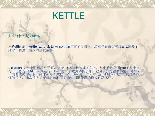 KETTLE使用说明(中文版)