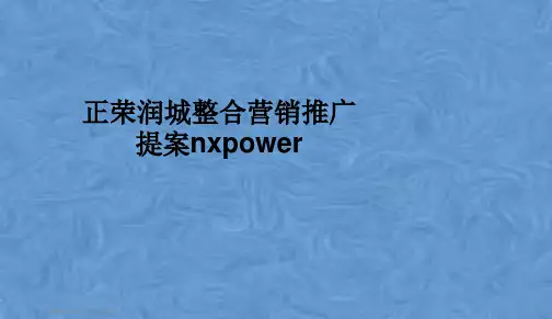 正荣润城整合营销推广提案nxpower