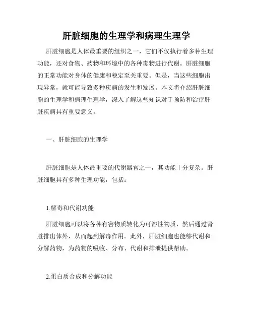 肝脏细胞的生理学和病理生理学