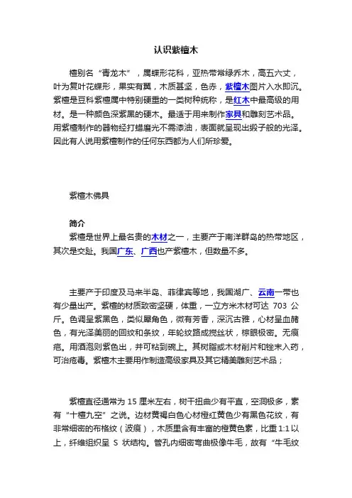 认识紫檀木