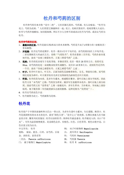牡丹和芍药的区别【图】