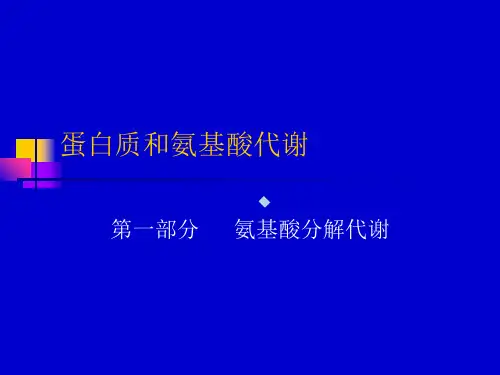 蛋白质和氨基酸代谢ppt课件