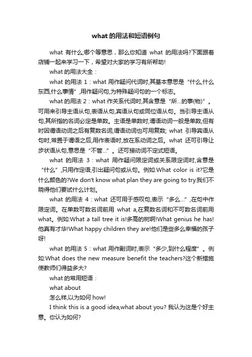 what的用法和短语例句