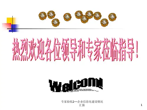 专家验收2---企业信息化建设情况汇报PPT课件