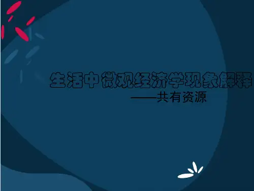 生活中微观经济学现象解释