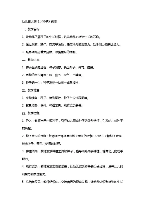 幼儿园大班《小种子》教案
