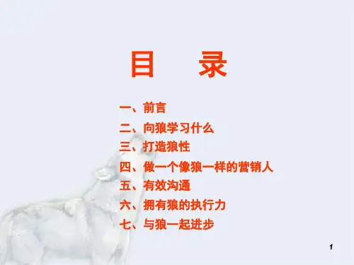 狼性销售PPT101页