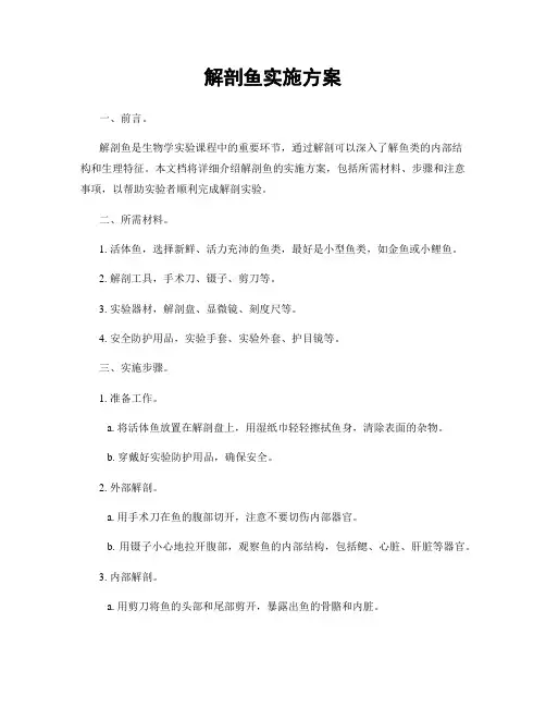 解剖鱼实施方案