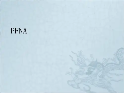 《pfna》ppt课件