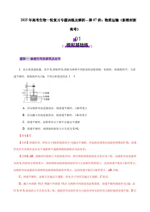 2025年高考生物一轮复习专题训练及解析—第07讲：物质运输(新教材新高考)