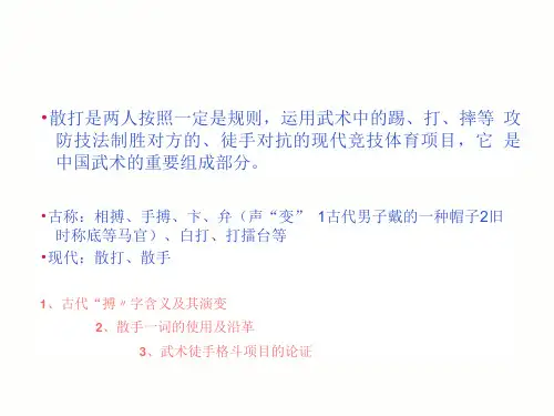 散打运动概述