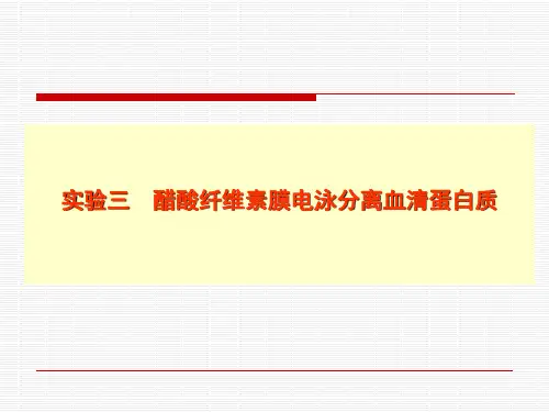 实验三醋酸纤维素膜分离血清蛋白质