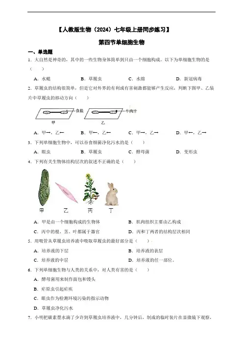 【人教版生物(2024)七年级上册测试卷】1.3.4单细胞生物(含答案)