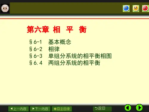 物理化学 课件 第六章 相平衡
