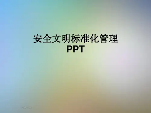 安全文明标准化管理PPT