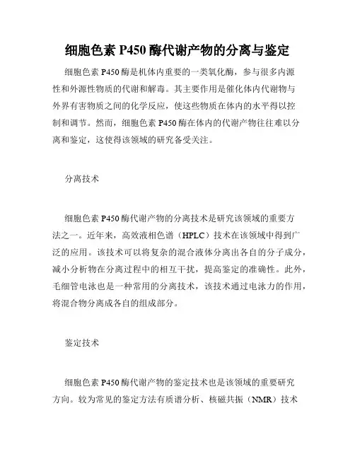 细胞色素P450酶代谢产物的分离与鉴定