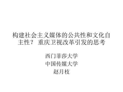 传播政治经济学