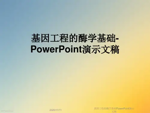 基因工程的酶学基础PowerPoint演示文稿