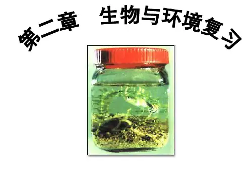 浙教版九年级下册科学第2章生物与环境复习(24张PPT)