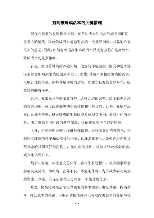 提高雏鸡成活率的关键措施