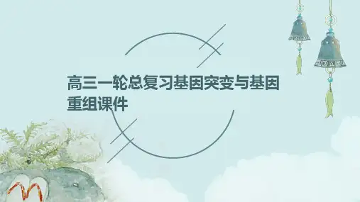高三一轮总复习基因突变与基因重组课件