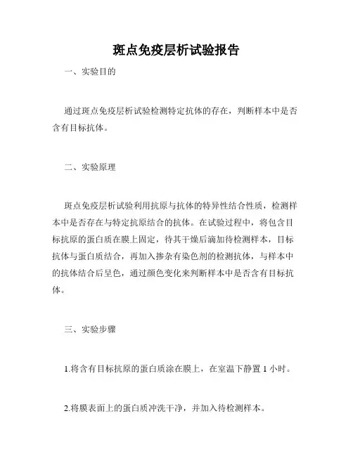 斑点免疫层析试验报告
