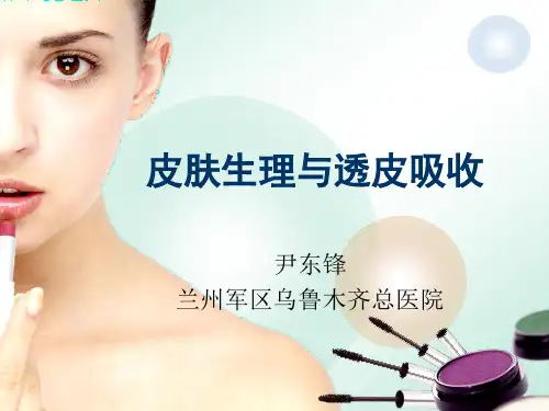 皮肤生理与透皮吸收