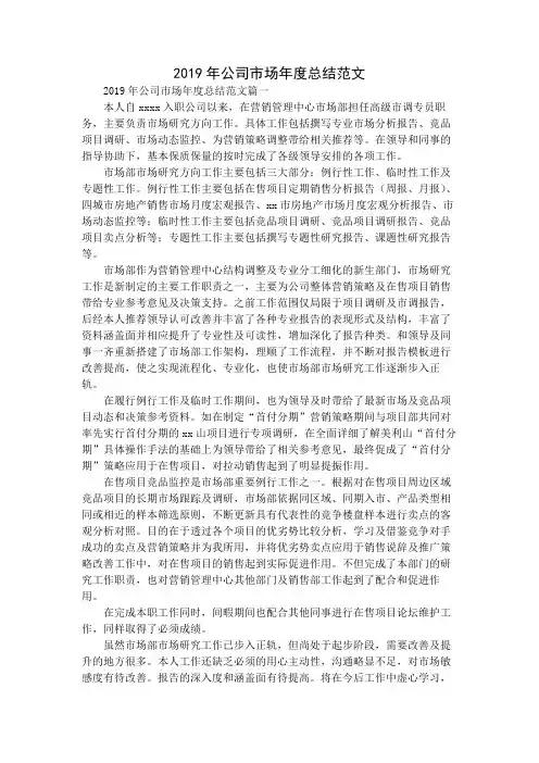 2019年公司市场年度总结范文