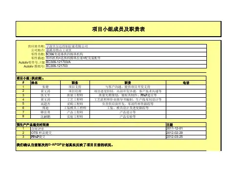 01.09项目小组成员及职责表