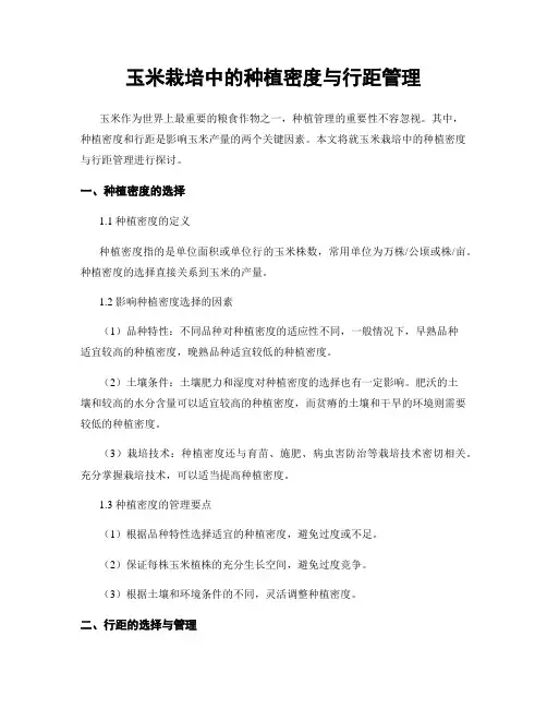 玉米栽培中的种植密度与行距管理
