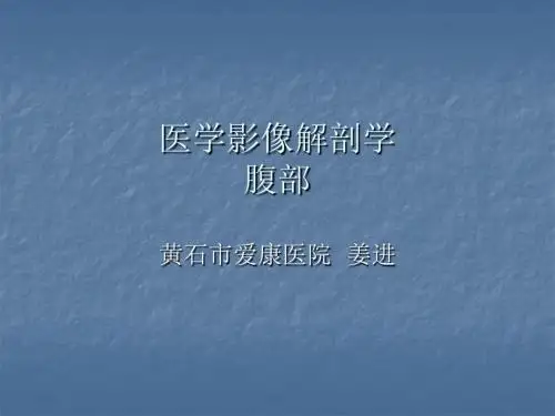 医学影像解剖学--腹部