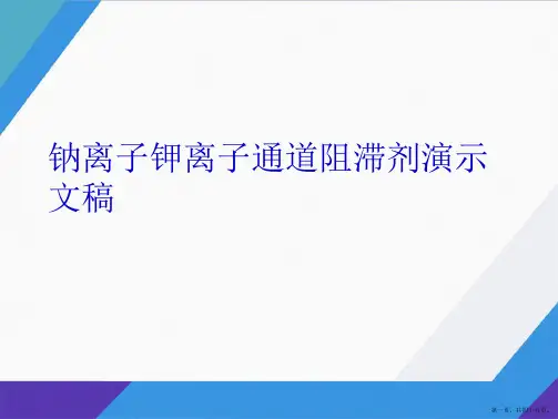 钠离子钾离子通道阻滞剂演示文稿