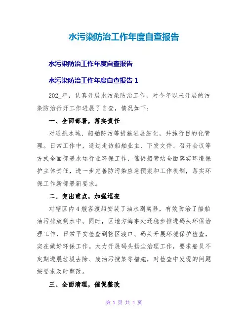 水污染防治工作年度自查报告