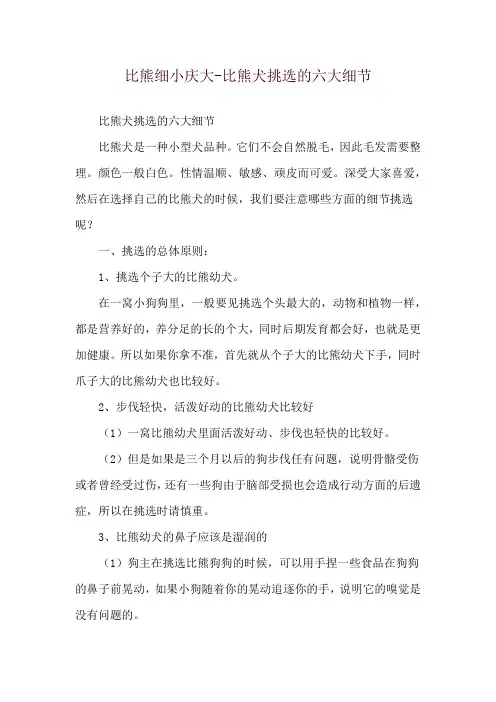 比熊细小庆大-比熊犬挑选的六大细节