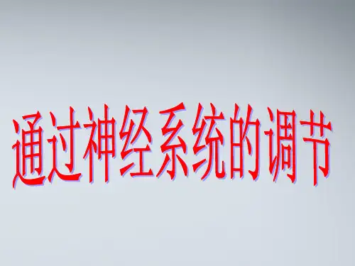 兴奋在神经纤维上传导