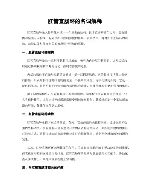 肛管直肠环的名词解释