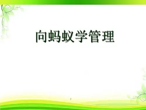 现代企业管理案例分析  ppt课件