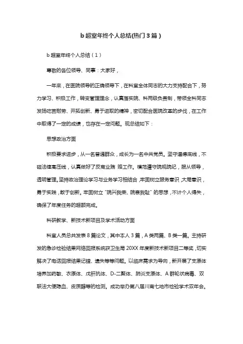 b超室年终个人总结(热门3篇)
