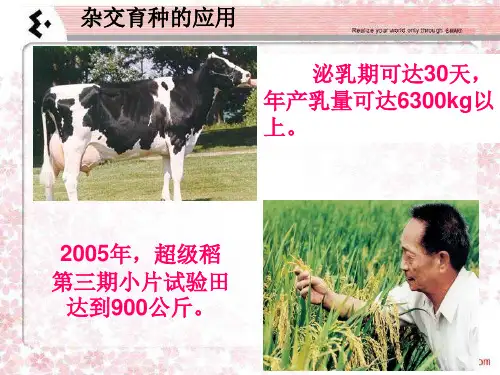 诱变育种课件