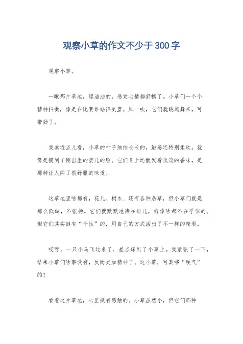 观察小草的作文不少于300字
