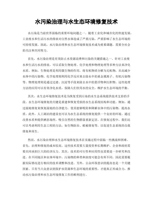 水污染治理与水生态环境修复技术