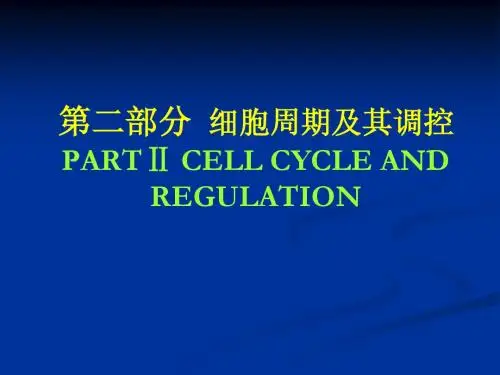 2 细胞周期及其调控