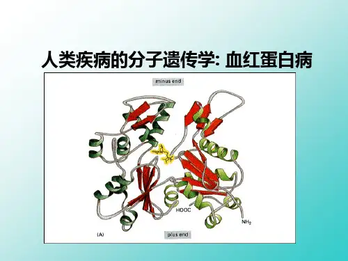 3.1分子病 - 血红蛋白病(讲课用).1