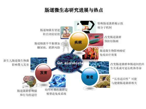 肠道微生态研究进展与热点