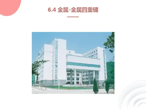 金属金属四重键